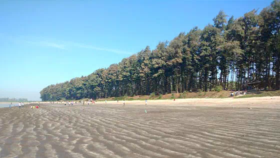 beach-view