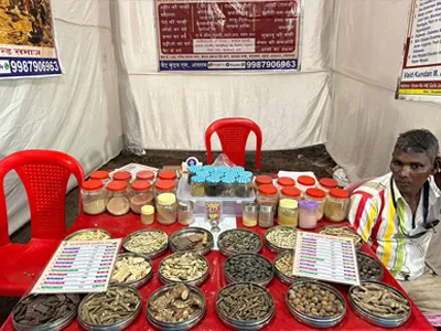 kelva-beach-paryatan-mahotsav-2025