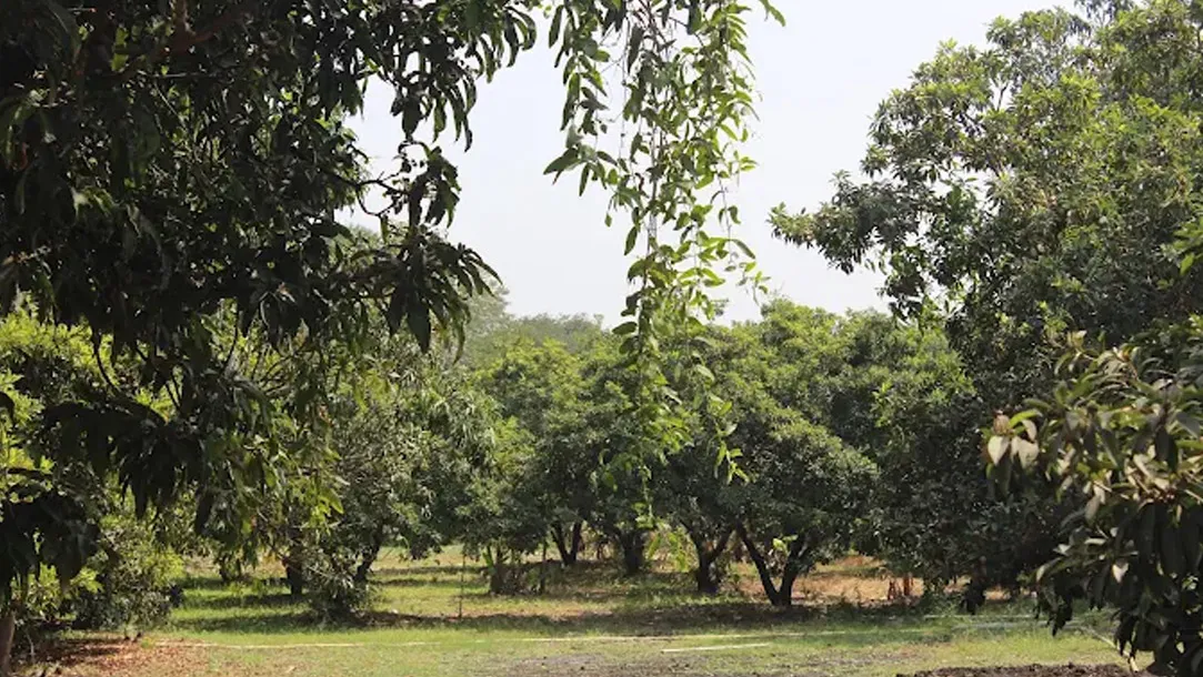 DaJee Resor Palghar