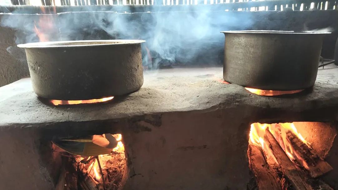 Lush Green Home Stay