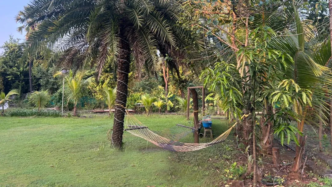 the-for-rest-resort-kelwa-beach